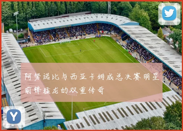 阿努诺比与西亚卡姆成总决赛明星前锋猛龙的双重传奇